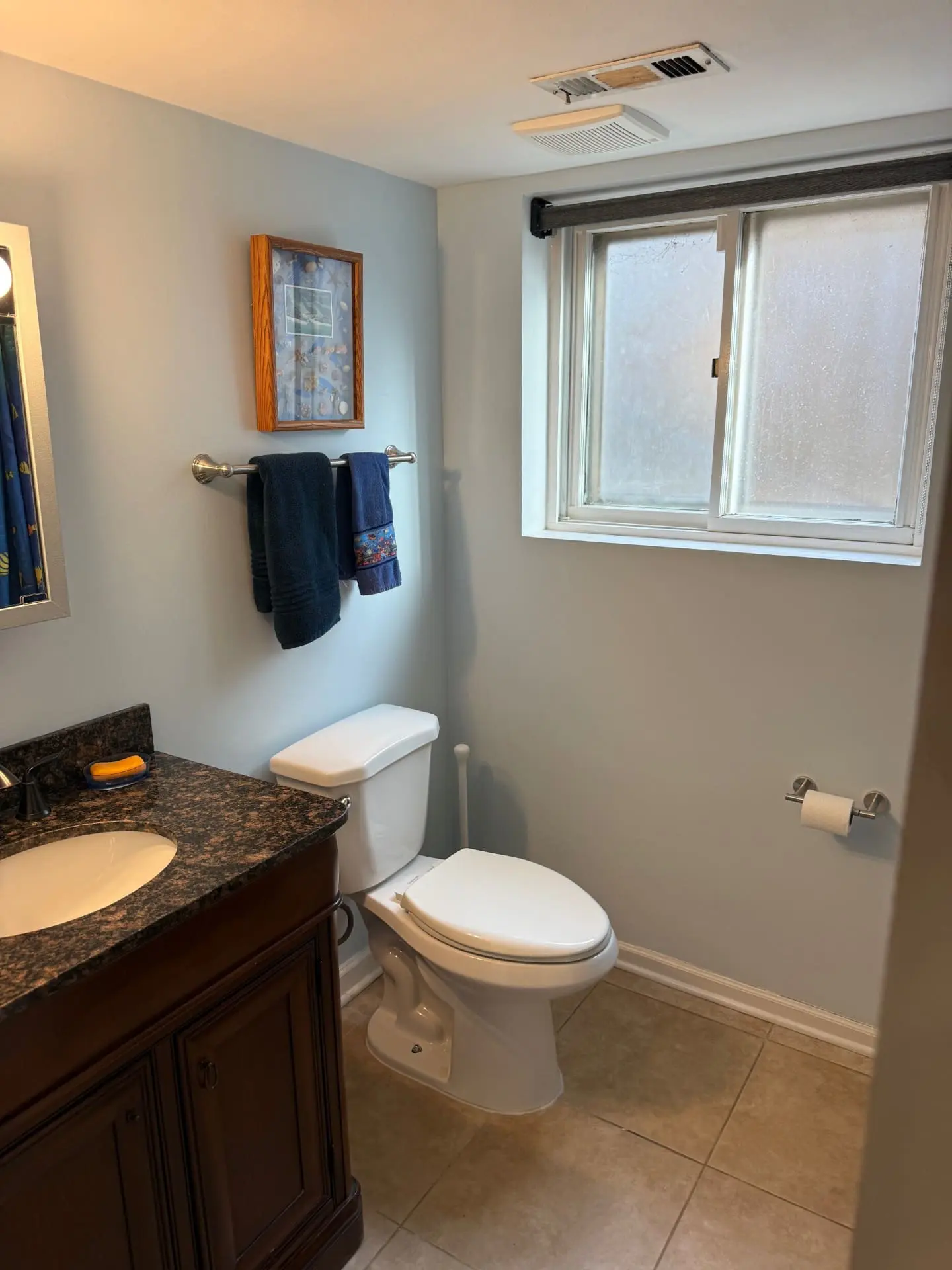 Bathroom painted and new exhaust fan installed near Butterfield Park in Elmhurst, IL with refreshed walls, painted trim, and improved ventilation.